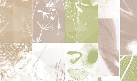 NBIM-2602–Vorlage-NEWSs-Übersicht